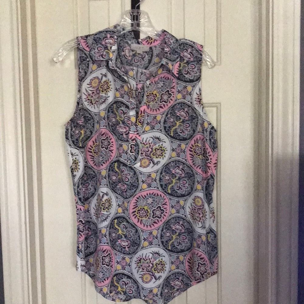LOFT Blue and Pink Buttoned Blouse with Collar